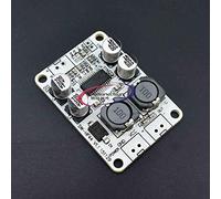 Reland Sun TPA3110 PBTL Module amplificateur numérique mono 30 W DC 8-26 V