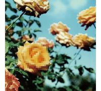 Relation (アナログ(12インチ)2枚組) (初回生産限定) - globe [Analog]