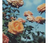 Relation [Limited] [Import allemand]