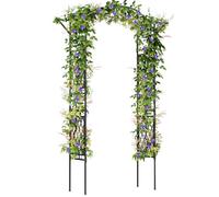 RELAX4LIFE Arche de Jardin avec Treillis 210 cm, Treillis Arche pour Plantes Grimpantes, Métal Enduit de PE, Résistant aux Intempéries, Décoration pour Jardin Fête Mariage