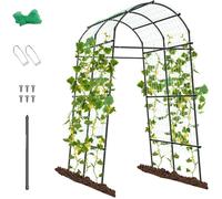 RELAX4LIFE Arche de Jardin Grimpantes en Métal, Treillis de Tunnel de Jardin H 230 cm, Arche pour Légumes Fruits Fleurs