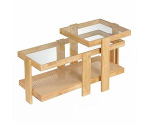 RELAX4LIFE Lot de 2 Table Basse Gigogne en Verre et Bois, Étagère Cannage