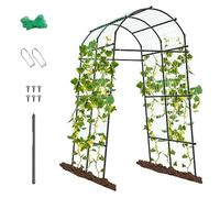 RELAX4LIFE Treillis d'arc de Jardin Extra Haut 230CM pour Plantes Grimpantes, Arche de Rose en Métal avec Revêtement PE, Treillis Tunnel Jardin pour Concombre, Légumes, Fleurs, Fruits (181x160x230cm)