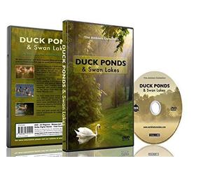 Relaxation DVD - Duck Ponds & Swan Lakes with Bird and Nature Sounds