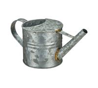 relaxdays 10031549_1262 relaxdays Gießkanne silber 1,3 l