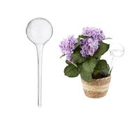 Relaxdays 6 x Boules d'arrosage, arrosage dosé pour Plantes en Pot, Aide à l'arrosage, Bureau, Vacances, Verre Ø 9 cm, Transparent
