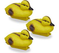 relaxdays 6 x poussins de sarcelle