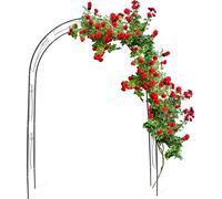 relaxdays Arc de cercle pour roses avec décoration