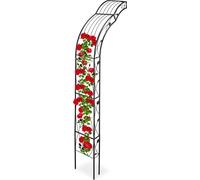Relaxdays Arcade de Roses Demi Rond, Montage Mural, décoré, Roses grimpantes, pergola Fer, HlP: 256 x 39 x 72 cm, Noir