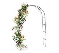 Relaxdays Arche à Rosier en métal, Portail pour Jardin, HxLxP: 240 x 140 x 38,5 cm, tuteur pour Plantes grimpantes, Noir