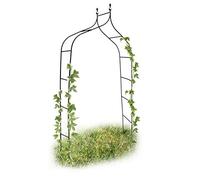 Relaxdays Arche à rosiers en métal 2,4 m Vert avec boules