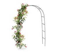 Relaxdays Arche pour rosiers et plantes grimpantes, 240 cm, tuteur en métal, résistant aux intempéries, vert