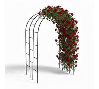 Relaxdays, Arche à rosiers, métal, H x L x P : 240 x 140 x 110 cm, Arche de Jardin XXL, Profonde, Noire