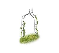 Relaxdays Arche à rosiers Romantique courbée avec Pointe métal 2,4 m, Vert