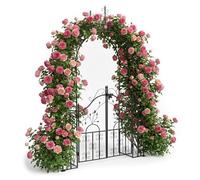 Relaxdays Arche noire pour rosiers avec porte