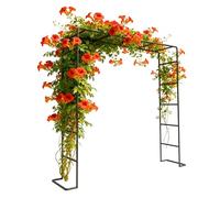 Relaxdays Arche pour Roses en métal, HxLxP 220x200x38 cm, Noir | arche de jardin, tuteur robuste pour plantes grimpantes