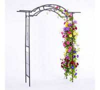 Relaxdays Arche pour rosiers en acier noir