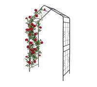 Relaxdays Arche pour rosiers toit pointu