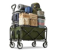 Relaxdays Chariot Pliable 100 kg, poignée télescopique, Tissu Oxford, pour Courses, Camping & Plage, Vert 89x50x72 cm