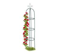 Relaxdays Tuteur Jardin, Pyramide Haute 200 cm, Colonne Rosier, Arche Plante grimpante, Arceau, Fer, Vert foncé
