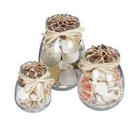 Relaxdays déco Plage, Lot de 3, mélange de Vraies coquilles, Verres de différentes Tailles, Maritime, Nature