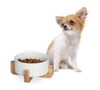 Relaxdays Gamelle pour Chien, 850 ML, pour Nourriture & Eau, Bol avec Structure en Bambou, HxLxP : 9 x 20 x 20 cm, Blanc