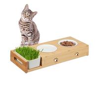 Relaxdays Gamelles pour Chats & récipient pour Herbe, 2 Bols céramique de 250 ML, pour Lave-Vaisselle, Nature - Blanc