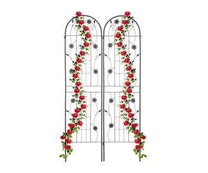 Relaxdays Grille tuteur plante 200 cm Lot de 2