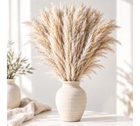 Relaxdays Herbe pampa 100 cm, lot de 10