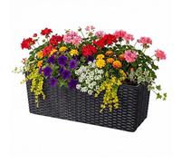 Relaxdays Jardinière de Balcon Auto-arrosage, 19 x 50 x 19 cm, pour rambarde, Insert et témoin Niveau, PP, Noir