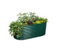 Relaxdays Jardinière surélevée en métal galvanisé, Ovale, pour Fleurs, Plantes & légumes, 100×200×80 cm, Verte
