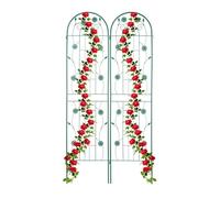 Relaxdays Tuteur à Plantes, Lot de 2, à Poser, pour Plantes grimpantes, utiles, ornementales, HxL : 200 x 50 cm, Vert