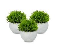 relaxdays Plantes artificielles en pot, lot de 3