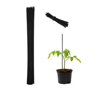 Relaxdays Lot de 50 tuteurs à tomates