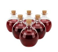 Relaxdays Lot de 6 flacons en verre avec bouchons