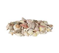 Relaxdays Mélange de coquillages coquilles de mer 1kg filet décoration maritime, coloré