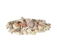 Relaxdays Mélange de coquillages coquilles de mer 1kg filet décoration maritime, coloré