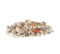 Relaxdays Mélange de coquillages coquilles de mer 2 kg filet décoration maritime