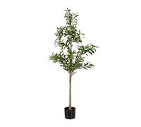 Relaxdays Olivier Artificiel, Arbre décoratif, détails réalistes, H x D : 150 x 65 cm, Vert et Marron