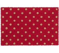 Paillasson coco tapis d'entrée résistant coloré paillasson rouge 40x60 cm