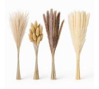 Relaxdays Panaches de Pampa séchées - Lot de 144 pièces - Longueur : 41 cm - Fleurs séchées - Décoration bohème - Herbe de la Pampa - Multicolore