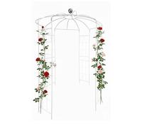 Relaxdays Pavillon en métal pour rosiers, Support Plantes grimpantes, Crochets, 290x206x206 cm, Blanc