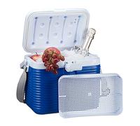 Relaxdays petite glacière portable, avec poignée, mini glacière, sans électricité, 8L, HBT 23,5 x 31 x 21 cm, blanc-bleu