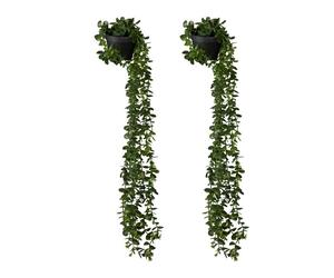 Relaxdays Plantes artificielles suspendues Lot 2
