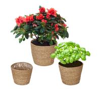relaxdays Pot de fleurs en herbe de mer, set de 3 pièces