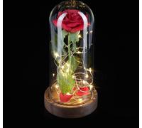 relaxdays Rose éternelle en verre avec lumière
