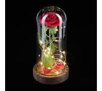 Relaxdays Rose éternelle sous cloche avec lumière