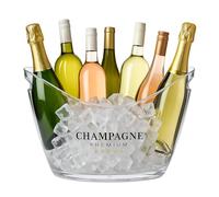 Relaxdays Seau à Champagne, Facile à Transporter grâce aux Trous latéraux, 8 litres, en Plastique Robuste, Transparent