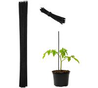 relaxdays Set de 50 tuteurs pour plantes 60 cm