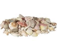 relaxdays Set de coquillages avec escargots de mer 1kg